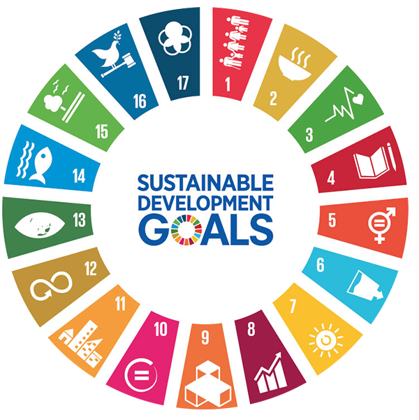 UN SDGs